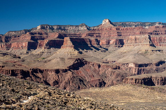 Arizona 2019