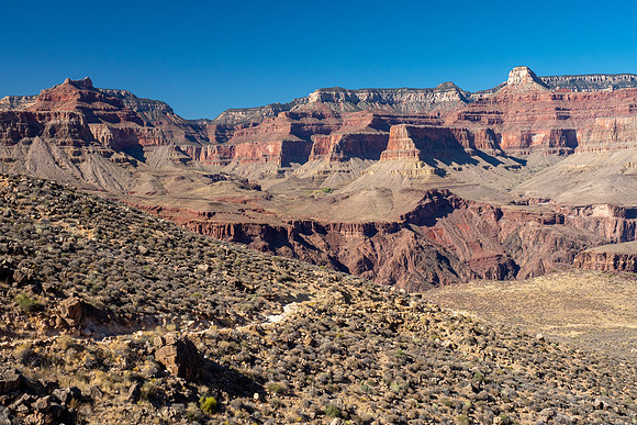 Arizona 2019