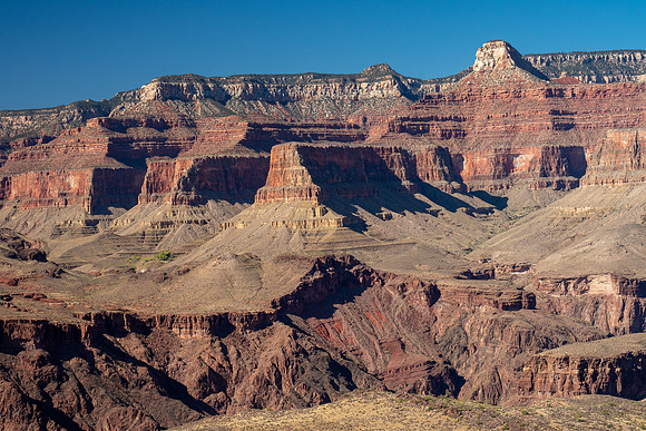 Arizona 2019