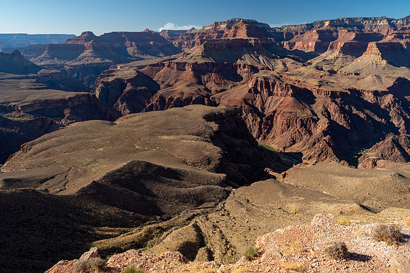 Arizona 2019