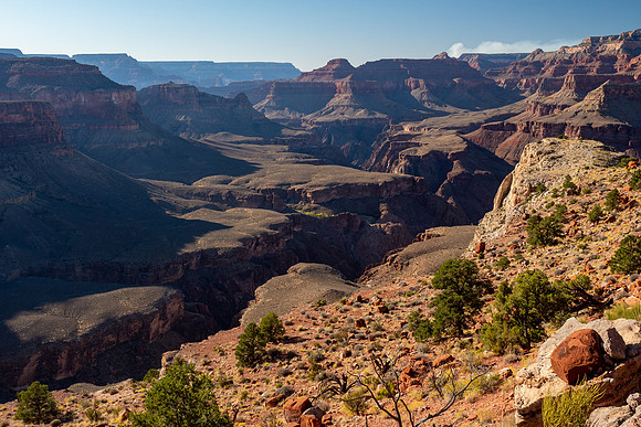 Arizona 2019