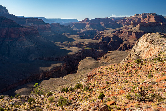 Arizona 2019