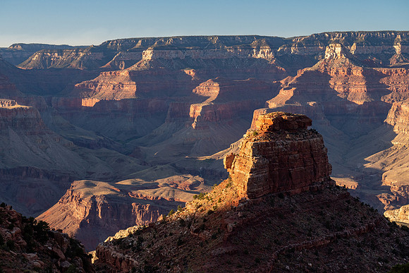 Arizona 2019
