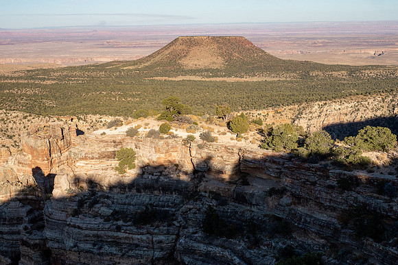 Arizona 2019