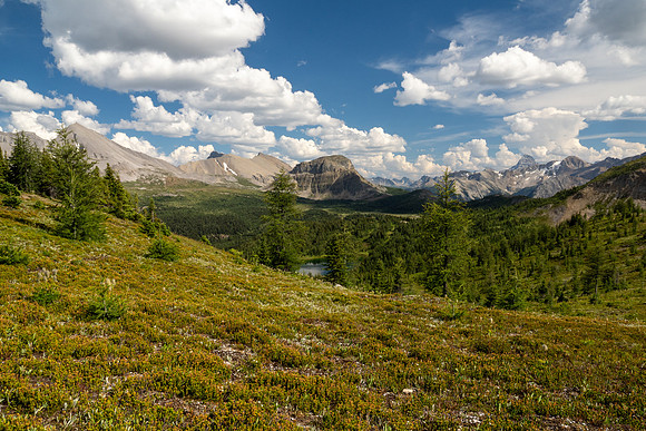Banff National Park 2025