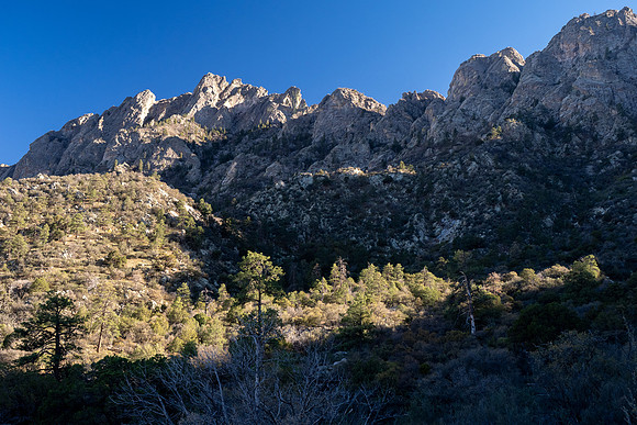New Mexico 2025