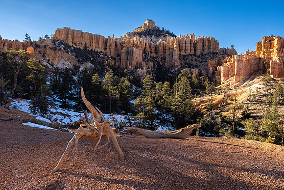 Bryce Canyon National Park 2022