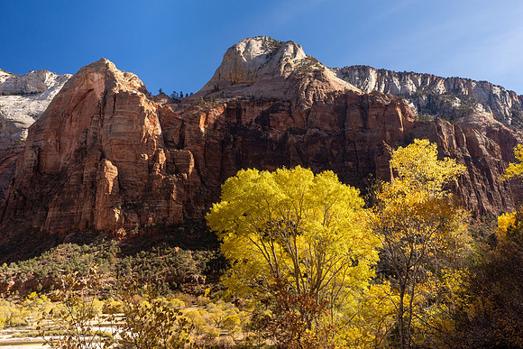Zion National Park 2024