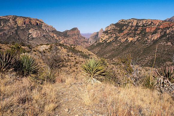 Arizona 2025