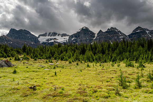 Banff National Park 2025