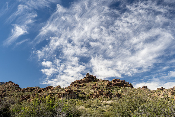 Arizona 2020