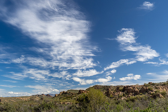 Arizona 2020