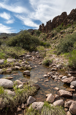 Arizona 2020