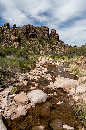 Arizona 2020