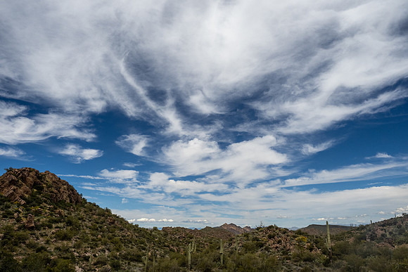 Arizona 2020