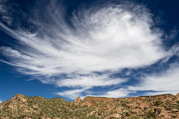 Arizona 2020