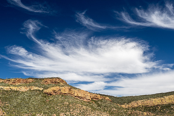 Arizona 2020