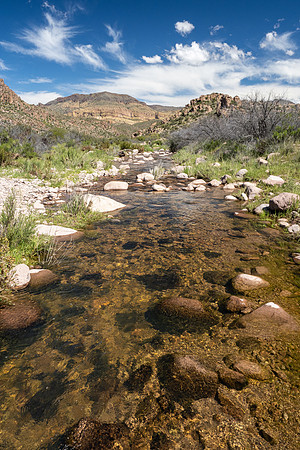 Arizona 2020