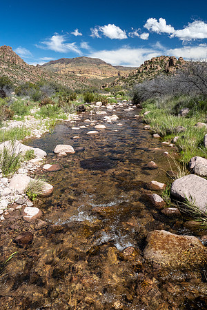 Arizona 2020