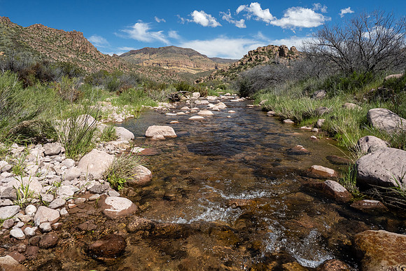 Arizona 2020