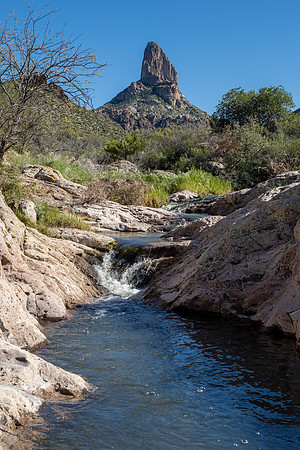 Arizona 2020