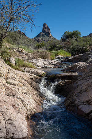 Arizona 2020