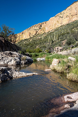 Arizona 2020
