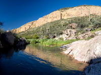 Sonoran Desert