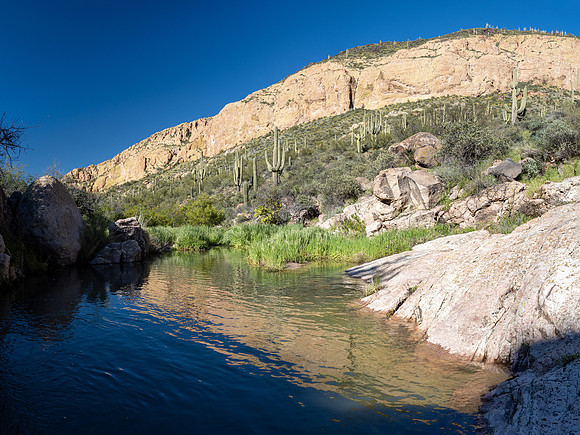 Arizona 2020