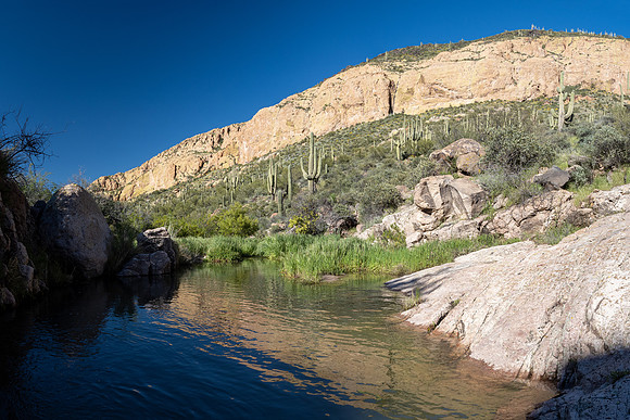 Arizona 2020