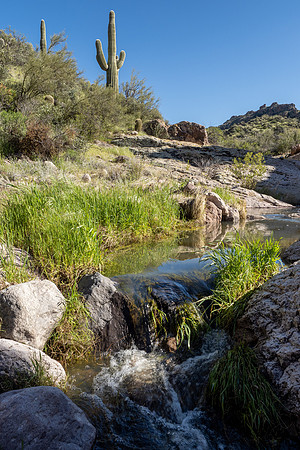 Arizona 2020
