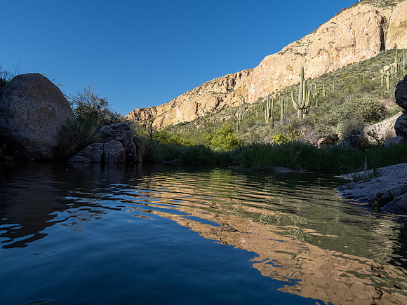 Arizona 2020