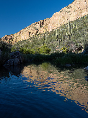 Arizona 2020