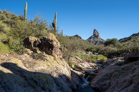 Arizona 2020
