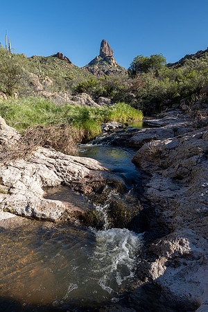 Arizona 2020