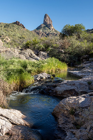 Arizona 2020