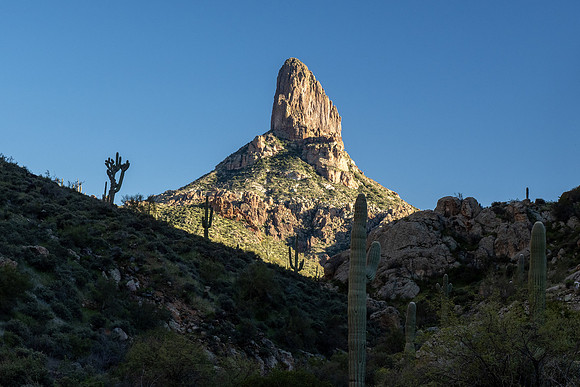 Arizona 2020