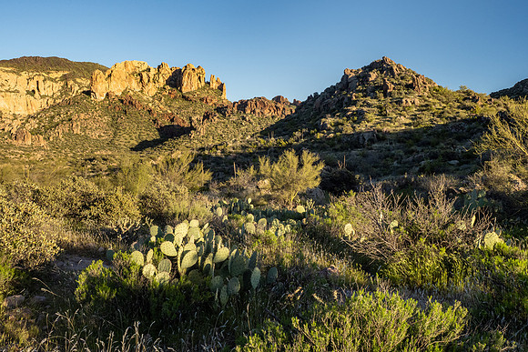 Arizona 2020
