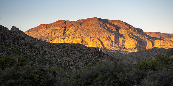Arizona 2020