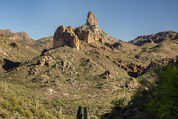 Arizona 2020