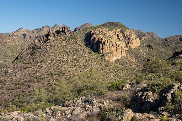 Arizona 2020