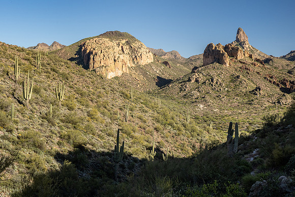 Arizona 2020