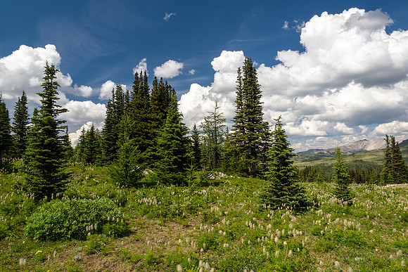 Banff National Park 2025