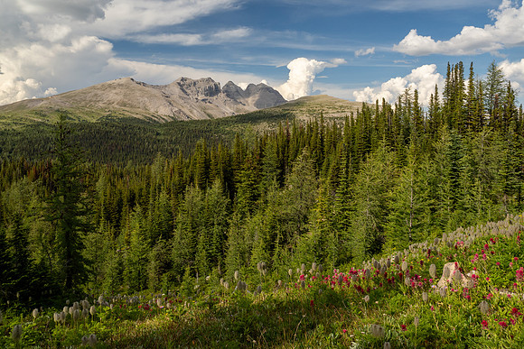 Banff National Park 2025