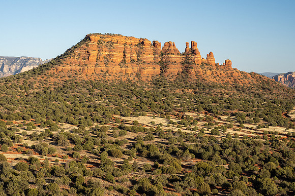 Arizona 2021