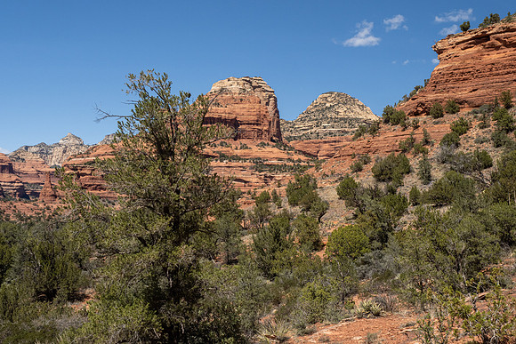 Arizona 2021