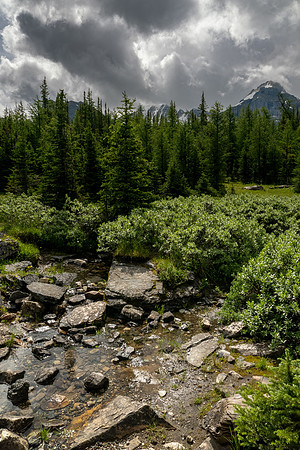 Banff National Park 2025
