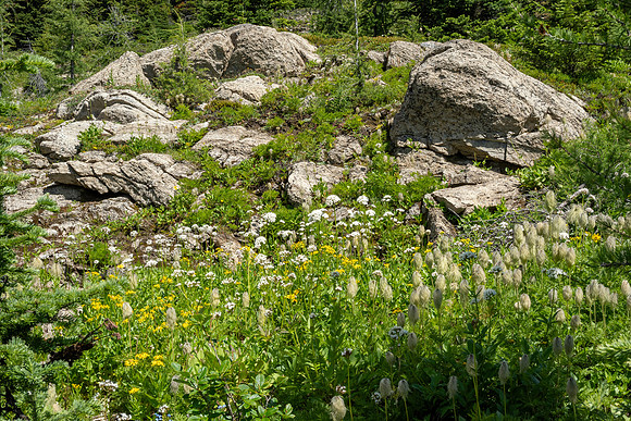 Banff National Park 2025