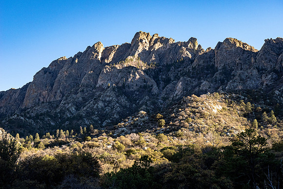 New Mexico 2025