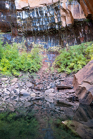 Zion National Park 2024